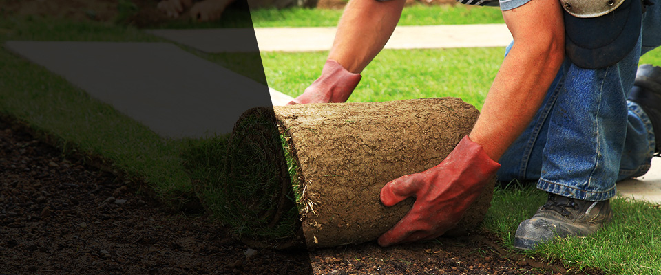 Alamo Landscapers